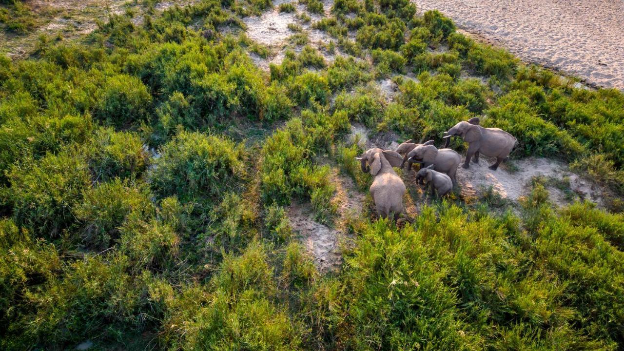 Buckler'S Africa Lodge Kruger Park Komatipoort Luaran gambar