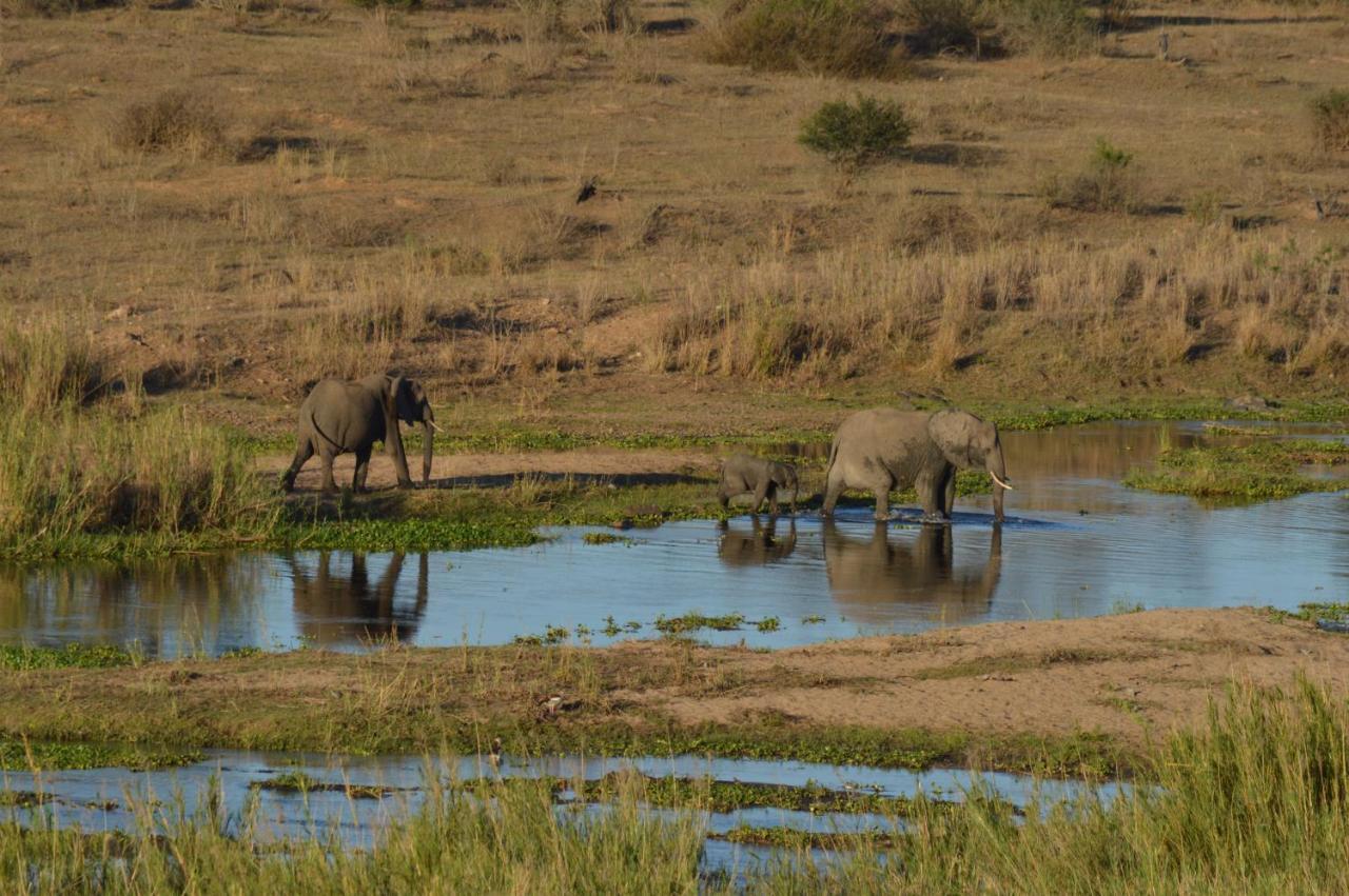 Buckler'S Africa Lodge Kruger Park Komatipoort Luaran gambar